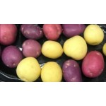 TRI-COLOUR SUMMER MINI POTATO/5 X1KG/AUSTRALIA